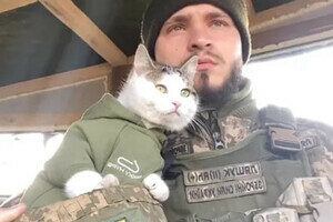В Одесской области пропал боевой котик "Шайба"