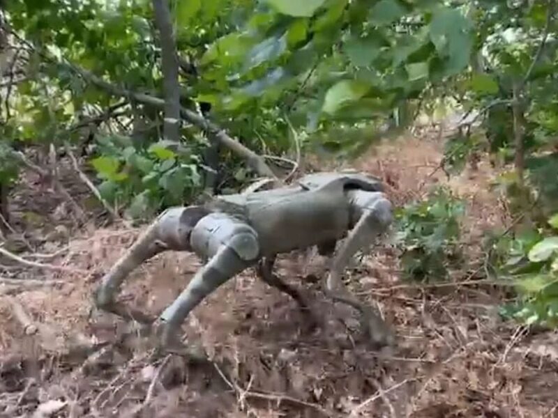 Воюють робопси: воїнів на&nbsp;Донбасі посилили новітньою розробкою