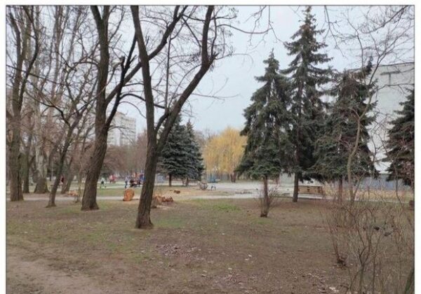 В Одессе началось строительство бювета, но пострадают зеленые насаждения