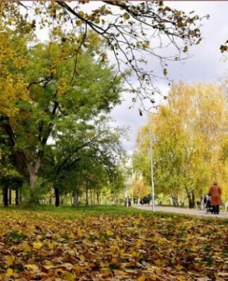 Вечер кинохитов и стендап Богдана Боярина: куда пойти в Одессе в пятницу и эти выходные