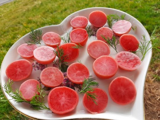 Маринована редиска з&nbsp;буряком: цей делікатес готується легко та&nbsp;просто
