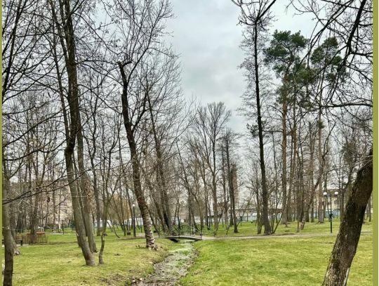 Сильний вітер та&nbsp;значне похолодання: синоптики засмутили прогнозом на&nbsp;18 листопада