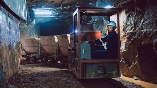 США обогнали Китай в борьбе за африканские ресурсы