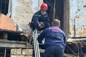 Выжила под руинами: в Одессе через пять дней после обстрела вызволили из-под завалов черепаху