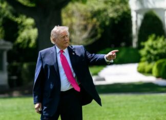 Трамп висловився щодо візиту путіна на саміт G20